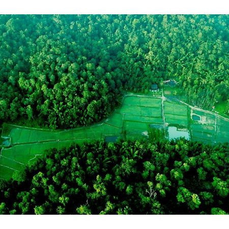 Vayal Veedu - Luxury Farm Villas By The Woods Muthanga Zewnętrze zdjęcie