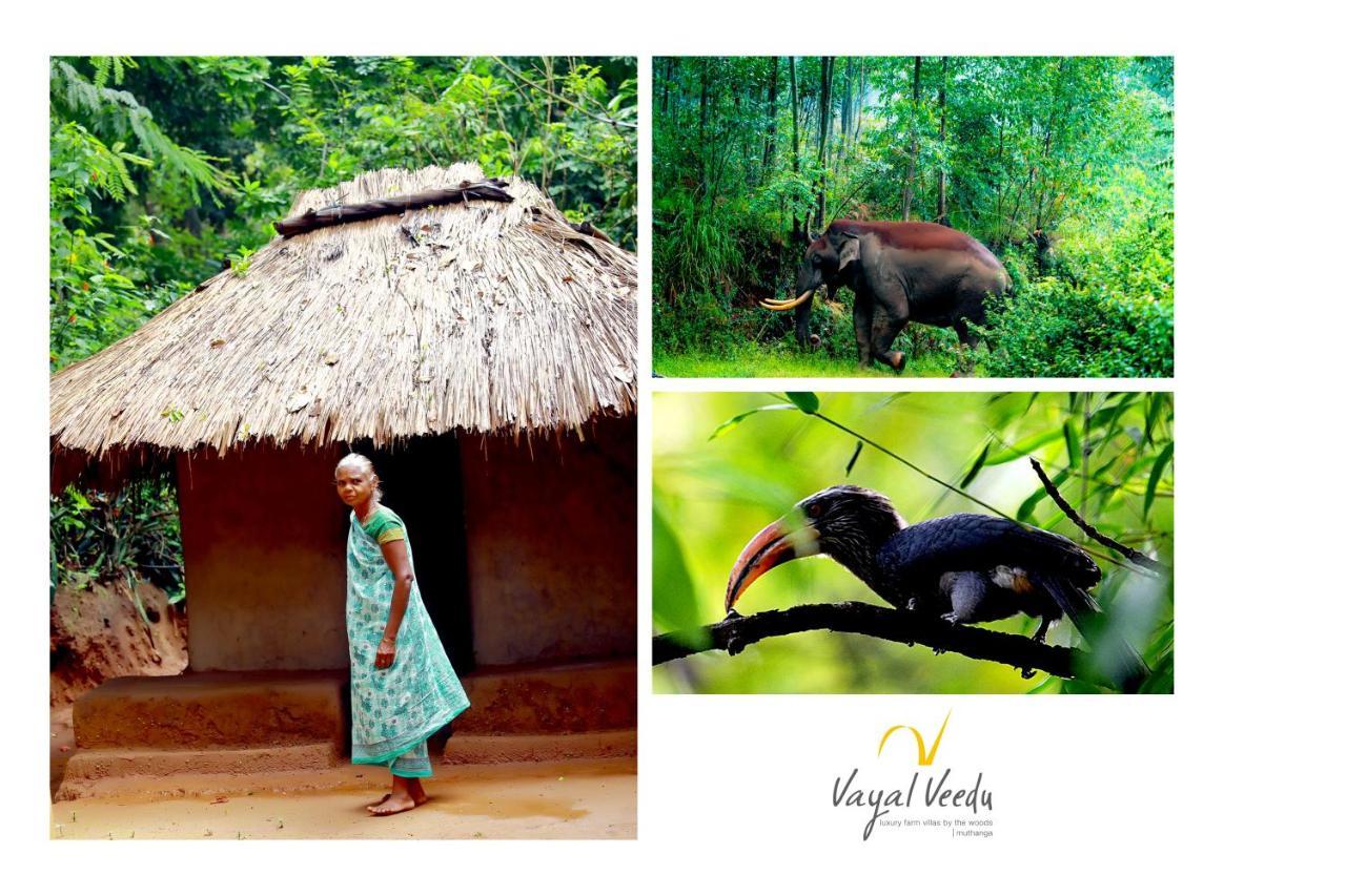 Vayal Veedu - Luxury Farm Villas By The Woods Muthanga Zewnętrze zdjęcie