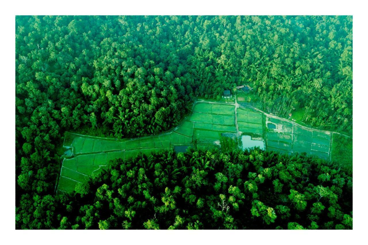 Vayal Veedu - Luxury Farm Villas By The Woods Muthanga Zewnętrze zdjęcie